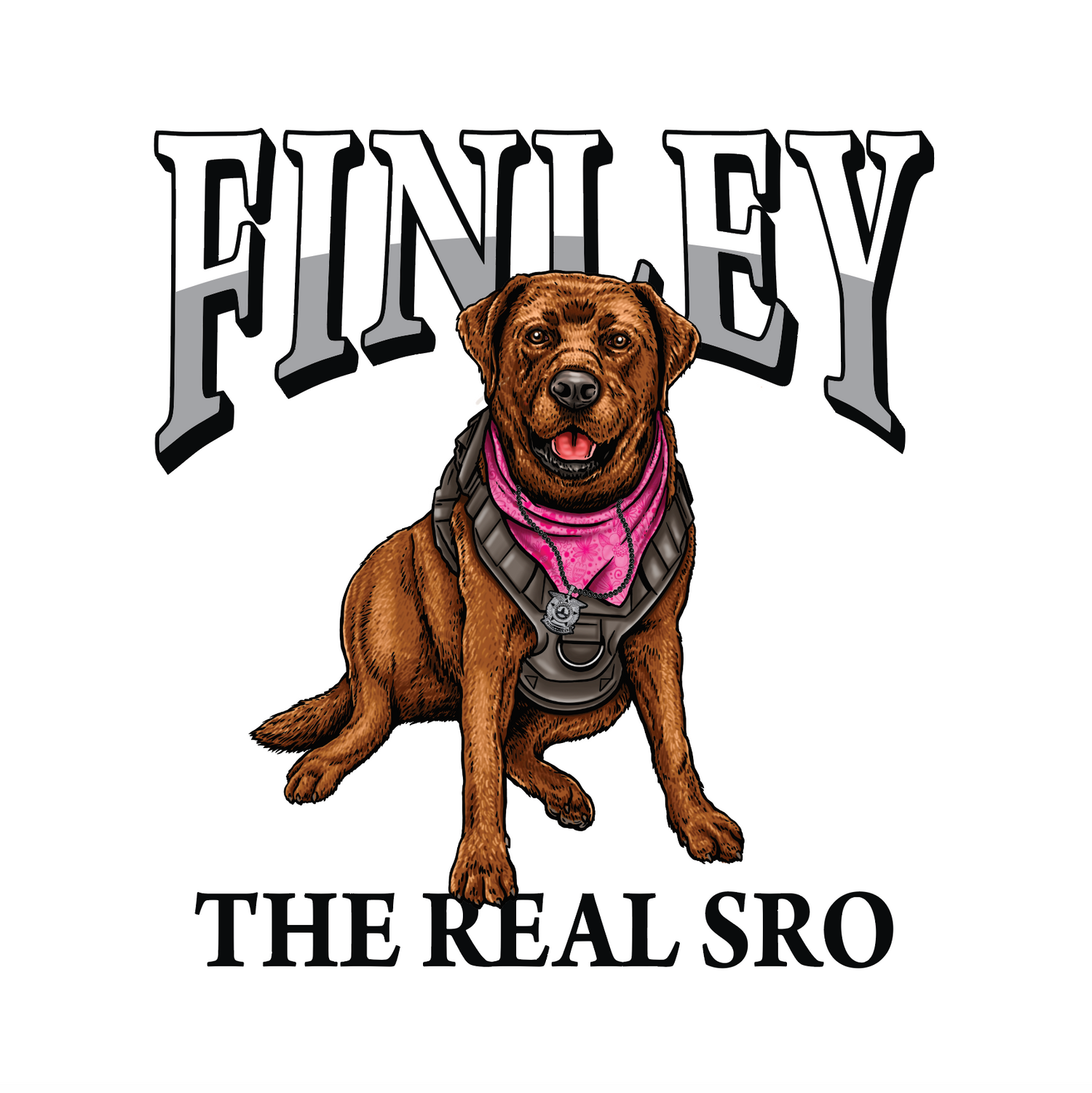 DYIMS - Finley